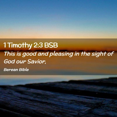 Picture 02 - 1 Timothy 2:3 BSB - This is good and pleasing in the sight of God our - Bible Verse Picture