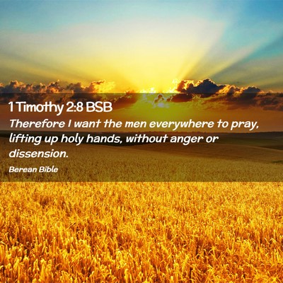 Picture 02 - 1 Timothy 2:8 BSB - Therefore I want the men everywhere to pray, - Bible Verse Picture