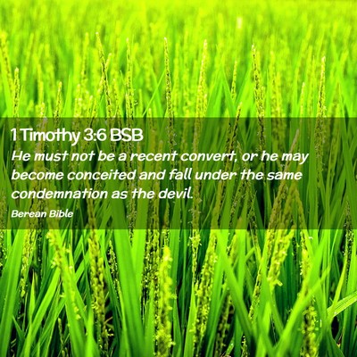 Picture 02 - 1 Timothy 3:6 BSB - He must not be a recent convert, or he may become - Bible Verse Picture