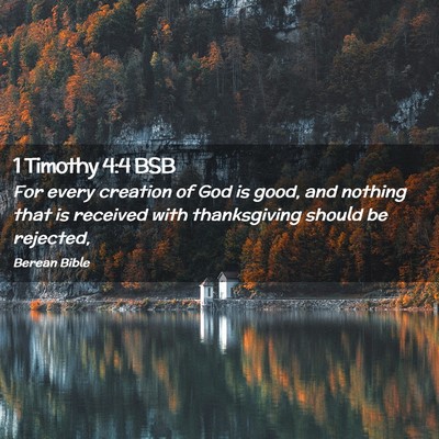 Picture 02 - 1 Timothy 4:4 BSB - For every creation of God is good, and nothing - Bible Verse Picture