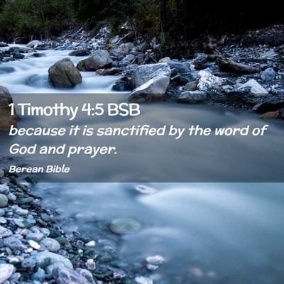 Picture 02 - 1 Timothy 4:5 BSB - because it is sanctified by the word of God and - Bible Verse Picture