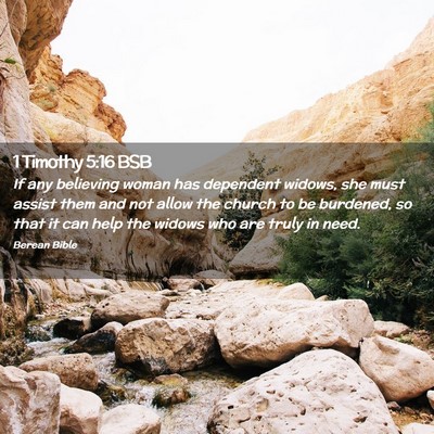 Picture 02 - 1 Timothy 5:16 BSB - If any believing woman has dependent widows, she - Bible Verse Picture