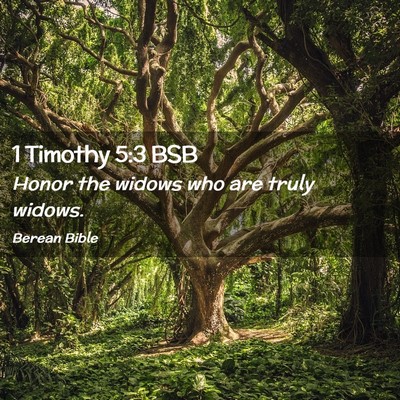 Picture 02 - 1 Timothy 5:3 BSB - Honor the widows who are truly - Bible Verse Picture