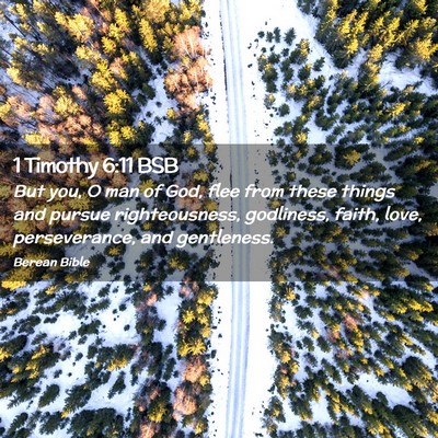 Picture 02 - 1 Timothy 6:11 BSB - But you, O man of God, flee from these things and - Bible Verse Picture