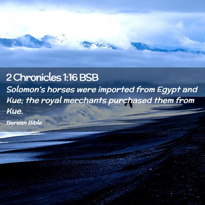 Picture 02 - 2 Chronicles 1:16 BSB - Solomon’s horses were imported from Egypt and - Bible Verse Picture