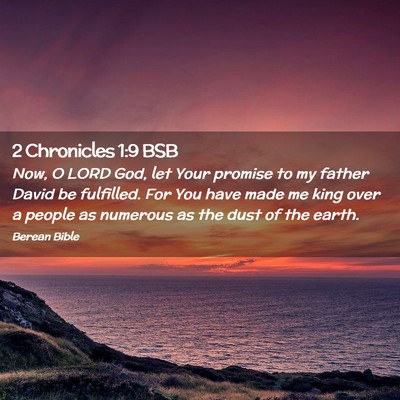 Picture 02 - 2 Chronicles 1:9 BSB - Now, O LORD God, let Your promise to my father - Bible Verse Picture
