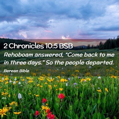 Picture 02 - 2 Chronicles 10:5 BSB - Rehoboam answered, “Come back to me in three - Bible Verse Picture