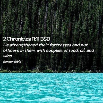 Picture 02 - 2 Chronicles 11:11 BSB - He strengthened their fortresses and put officers - Bible Verse Picture