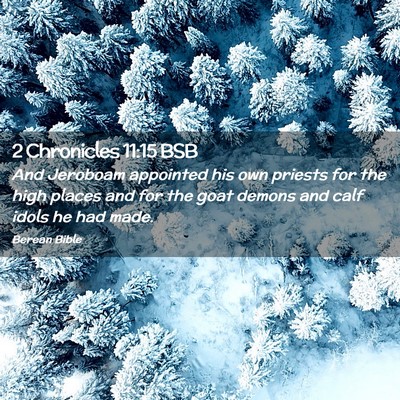 Picture 02 - 2 Chronicles 11:15 BSB - And Jeroboam appointed his own priests for the - Bible Verse Picture