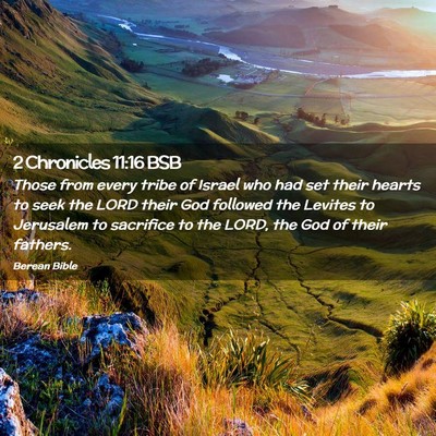 Picture 02 - 2 Chronicles 11:16 BSB - Those from every tribe of Israel who had set - Bible Verse Picture