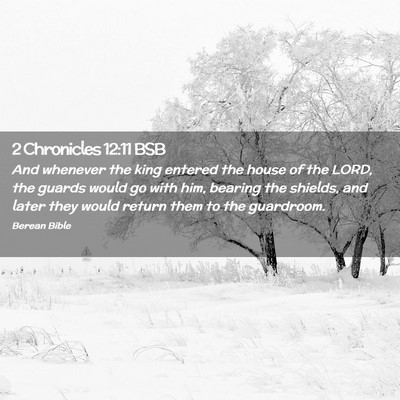 Picture 02 - 2 Chronicles 12:11 BSB - And whenever the king entered the house of the - Bible Verse Picture