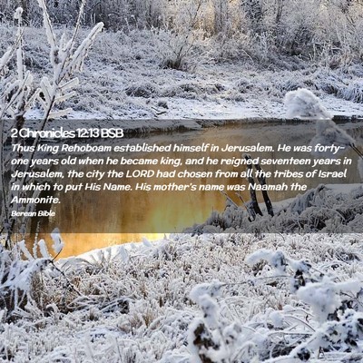 Picture 02 - 2 Chronicles 12:13 BSB - Thus King Rehoboam established himself in - Bible Verse Picture