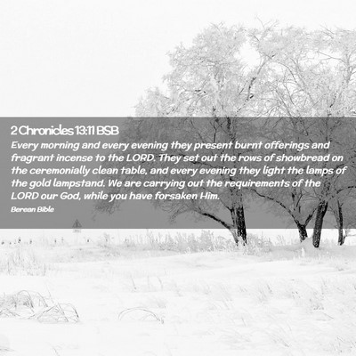 Picture 02 - 2 Chronicles 13:11 BSB - Every morning and every evening they present - Bible Verse Picture