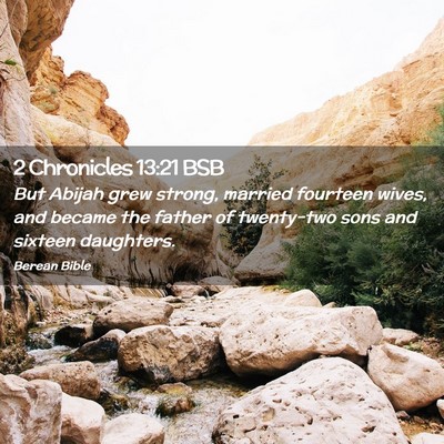 Picture 02 - 2 Chronicles 13:21 BSB - But Abijah grew strong, married fourteen wives, - Bible Verse Picture