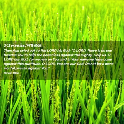 Picture 02 - 2 Chronicles 14:11 BSB - Then Asa cried out to the LORD his God: “O - Bible Verse Picture