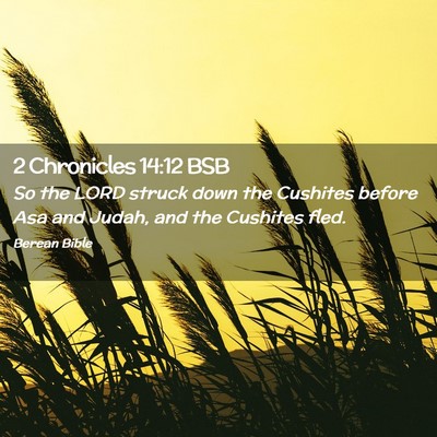Picture 02 - 2 Chronicles 14:12 BSB - So the LORD struck down the Cushites before Asa - Bible Verse Picture