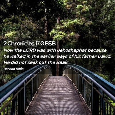 Picture 02 - 2 Chronicles 17:3 BSB - Now the LORD was with Jehoshaphat because he - Bible Verse Picture