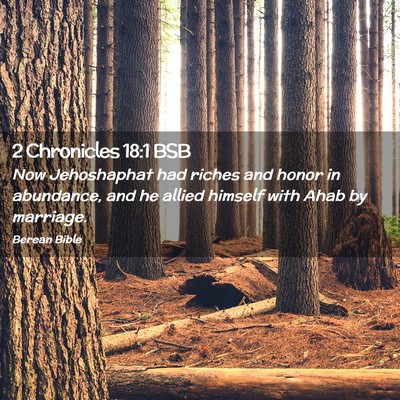 Picture 02 - 2 Chronicles 18:1 BSB - Now Jehoshaphat had riches and honor in - Bible Verse Picture