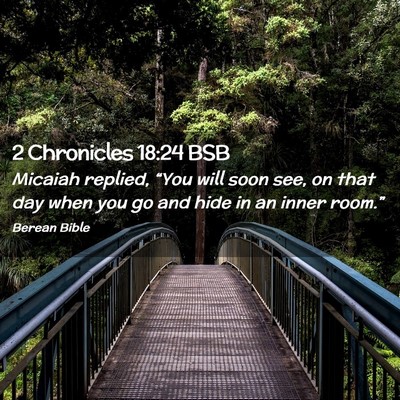 Picture 02 - 2 Chronicles 18:24 BSB - Micaiah replied, “You will soon see, on that - Bible Verse Picture