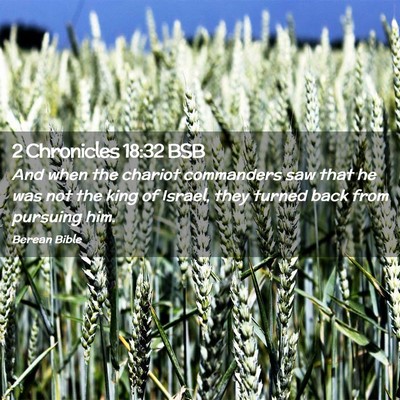 Picture 02 - 2 Chronicles 18:32 BSB - And when the chariot commanders saw that he was - Bible Verse Picture