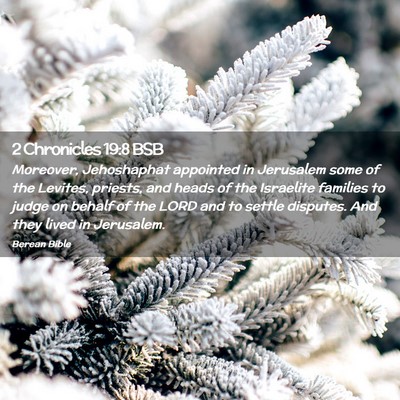 Picture 02 - 2 Chronicles 19:8 BSB - Moreover, Jehoshaphat appointed in Jerusalem some - Bible Verse Picture