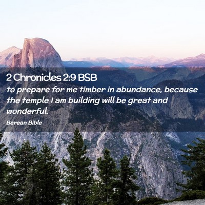 Picture 02 - 2 Chronicles 2:9 BSB - to prepare for me timber in abundance, because - Bible Verse Picture