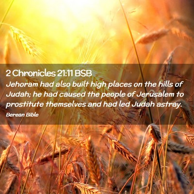 Picture 02 - 2 Chronicles 21:11 BSB - Jehoram had also built high places on the hills - Bible Verse Picture
