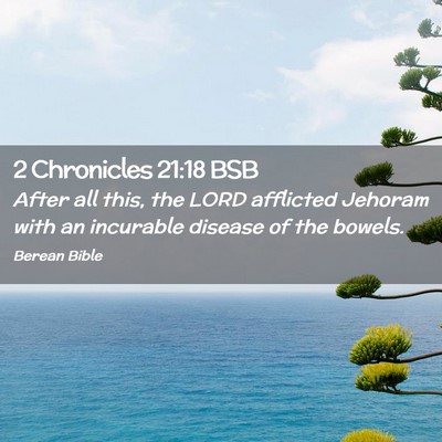 Picture 02 - 2 Chronicles 21:18 BSB - After all this, the LORD afflicted Jehoram with - Bible Verse Picture