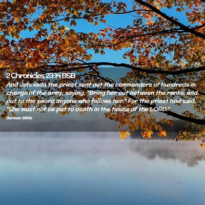 Picture 02 - 2 Chronicles 23:14 BSB - And Jehoiada the priest sent out the commanders - Bible Verse Picture