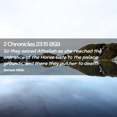 Picture 02 - 2 Chronicles 23:15 BSB - So they seized Athaliah as she reached the - Bible Verse Picture