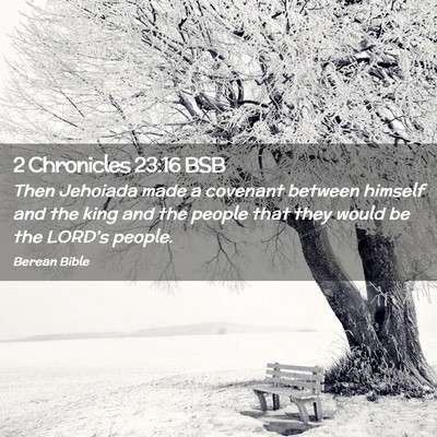 Picture 02 - 2 Chronicles 23:16 BSB - Then Jehoiada made a covenant between himself and - Bible Verse Picture