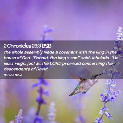 Picture 02 - 2 Chronicles 23:3 BSB - the whole assembly made a covenant with the king - Bible Verse Picture