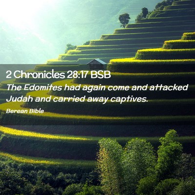 Picture 02 - 2 Chronicles 28:17 BSB - The Edomites had again come and attacked Judah - Bible Verse Picture