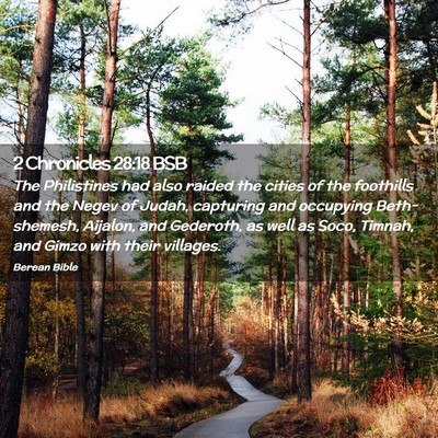 Picture 02 - 2 Chronicles 28:18 BSB - The Philistines had also raided the cities of the - Bible Verse Picture