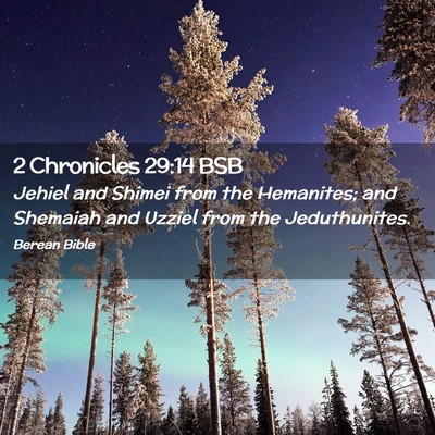 Picture 02 - 2 Chronicles 29:14 BSB - Jehiel and Shimei from the Hemanites; and - Bible Verse Picture