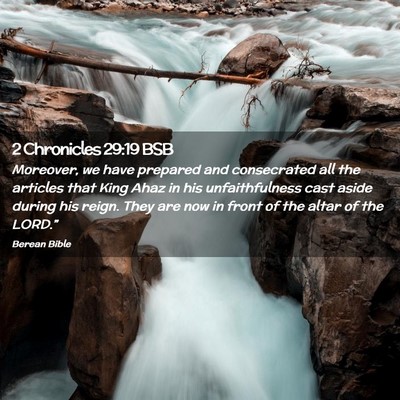 Picture 02 - 2 Chronicles 29:19 BSB - Moreover, we have prepared and consecrated all - Bible Verse Picture