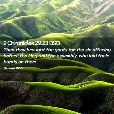 Picture 02 - 2 Chronicles 29:23 BSB - Then they brought the goats for the sin offering - Bible Verse Picture