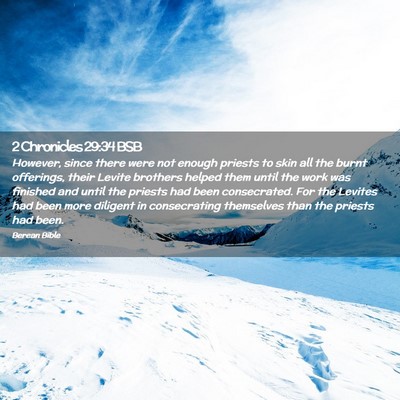 Picture 02 - 2 Chronicles 29:34 BSB - However, since there were not enough priests to - Bible Verse Picture