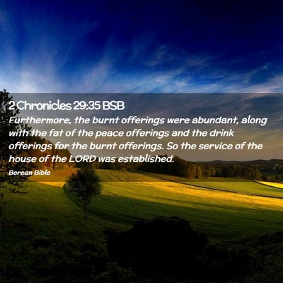 Picture 02 - 2 Chronicles 29:35 BSB - Furthermore, the burnt offerings were abundant, - Bible Verse Picture