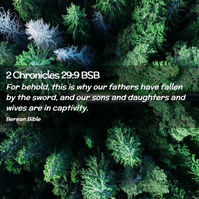 Picture 02 - 2 Chronicles 29:9 BSB - For behold, this is why our fathers have fallen - Bible Verse Picture