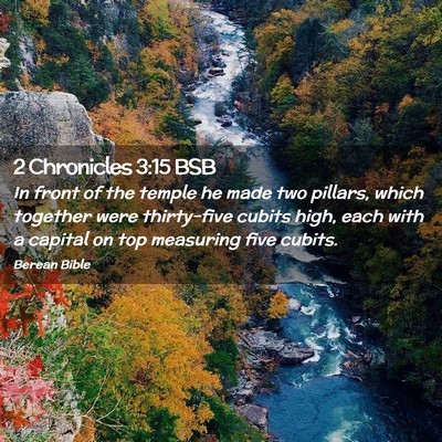 Picture 02 - 2 Chronicles 3:15 BSB - In front of the temple he made two pillars, which - Bible Verse Picture