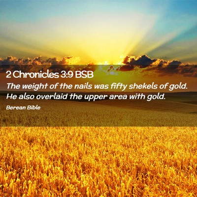Picture 02 - 2 Chronicles 3:9 BSB - The weight of the nails was fifty shekels of - Bible Verse Picture