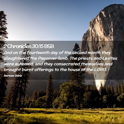 Picture 02 - 2 Chronicles 30:15 BSB - And on the fourteenth day of the second month - Bible Verse Picture