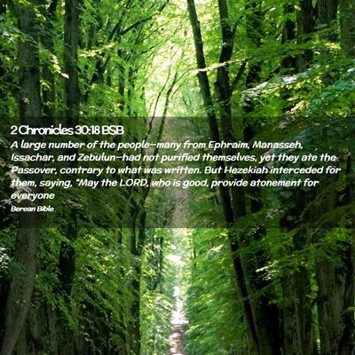 Picture 02 - 2 Chronicles 30:18 BSB - A large number of the people—many from Ephraim, - Bible Verse Picture