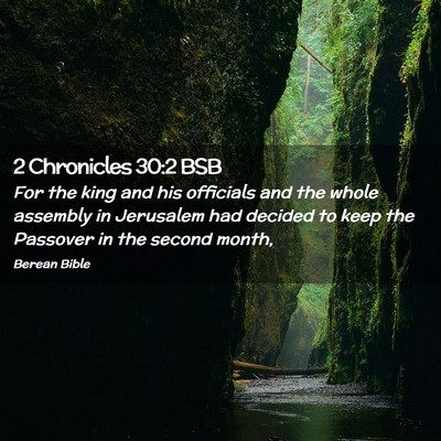 Picture 02 - 2 Chronicles 30:2 BSB - For the king and his officials and the whole - Bible Verse Picture