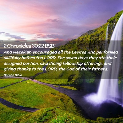 Picture 02 - 2 Chronicles 30:22 BSB - And Hezekiah encouraged all the Levites who - Bible Verse Picture