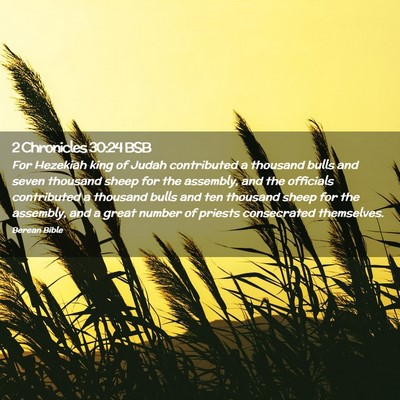Picture 02 - 2 Chronicles 30:24 BSB - For Hezekiah king of Judah contributed a thousand - Bible Verse Picture