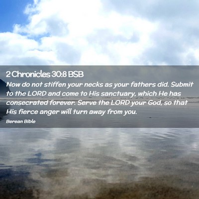 Picture 02 - 2 Chronicles 30:8 BSB - Now do not stiffen your necks as your fathers - Bible Verse Picture