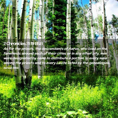 Picture 02 - 2 Chronicles 31:19 BSB - As for the priests, the descendants of Aaron, who - Bible Verse Picture