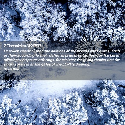 Picture 02 - 2 Chronicles 31:2 BSB - Hezekiah reestablished the divisions of the - Bible Verse Picture